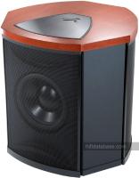 MartinLogan Decent i