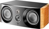 Focal Electra CC 1000 S