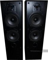 Bowers Wilkins Vision DS4